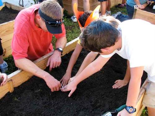 Planting in Garden 