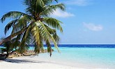 Beach Beach