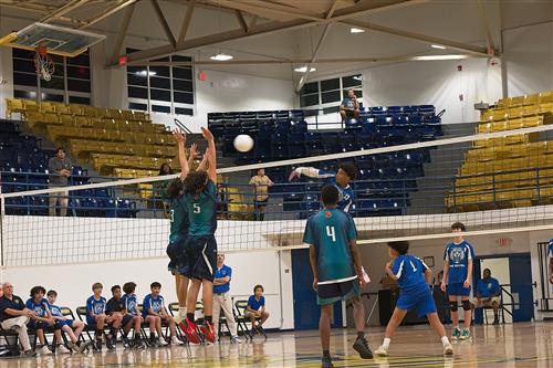 Volleyball Finals 