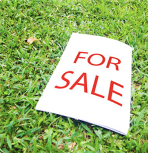For Sale Advertising 