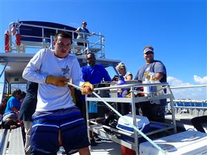 Erick shark tagging 