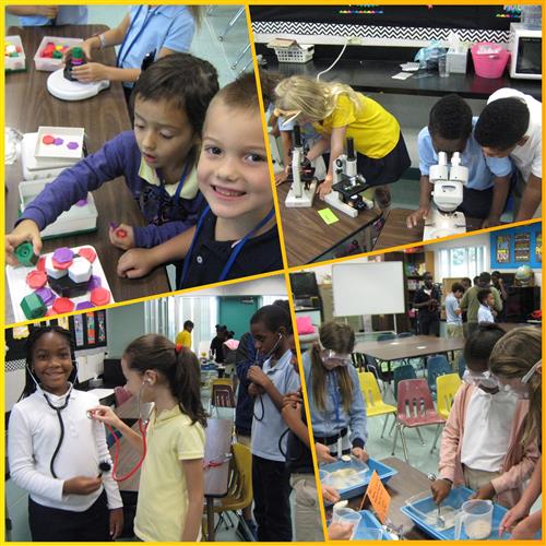  STEM Students engaged in Science, Technology, Engineering, and Mathematics activities 