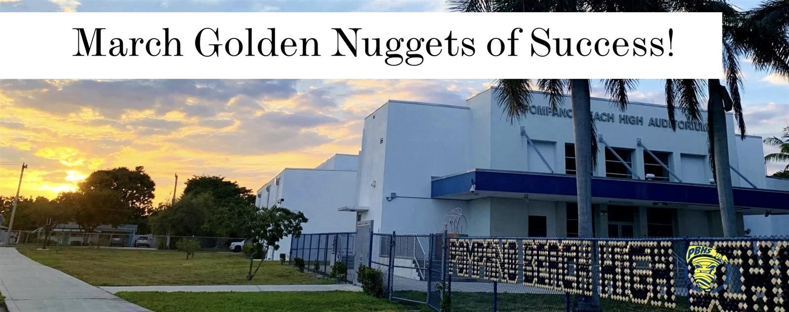 March Golden Nuggets of Success