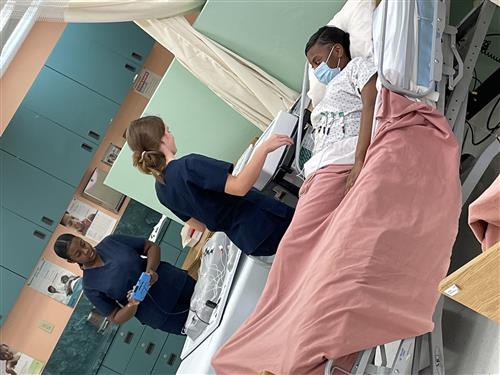 Health Sciences