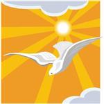 Image of a dove flying past the sun