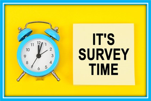  Survey Image