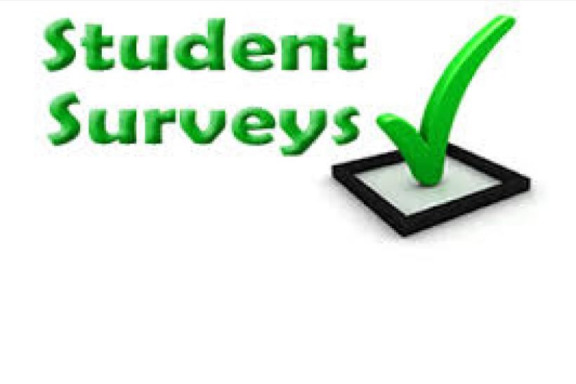 Student Survey