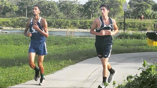 Cross Country Runners 