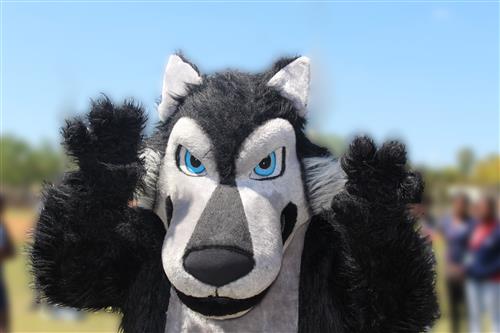 Wolf