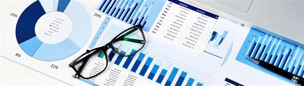 budget analysis