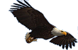 Oakland Park Elementary Logo
